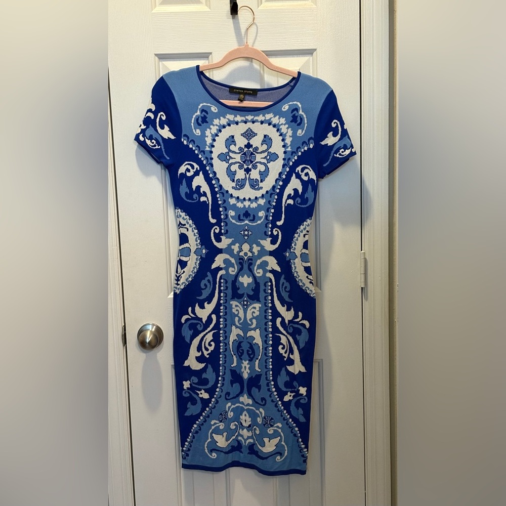 Cynthia Steffe Blue and White Light Weight Sweater Dress Size Medium